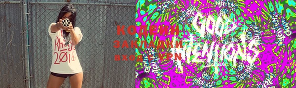 ПСИЛОЦИБИНОВЫЕ ГРИБЫ Богданович