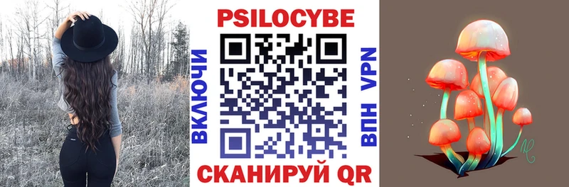 Галлюциногенные грибы MAGIC MUSHROOMS  купить наркотики цена  Козельск 